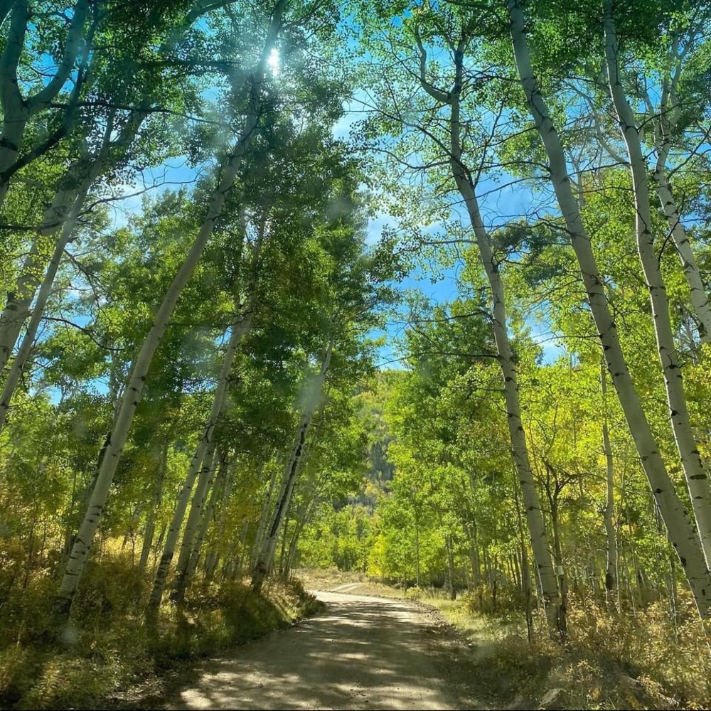 Meet your Posher, Evany & robin